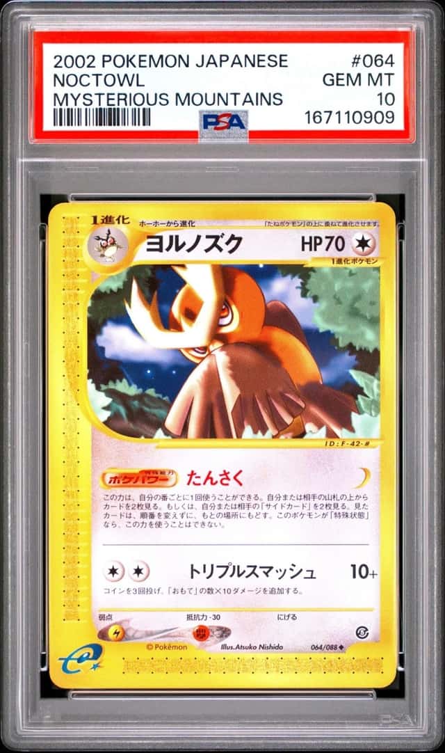 Noctowl