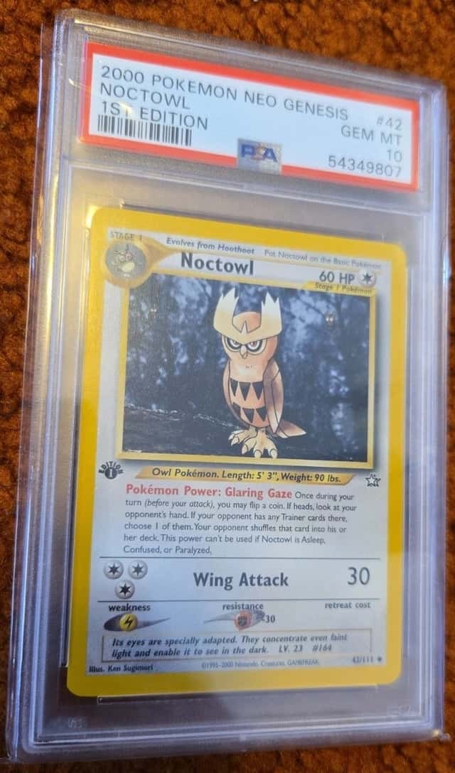 Noctowl