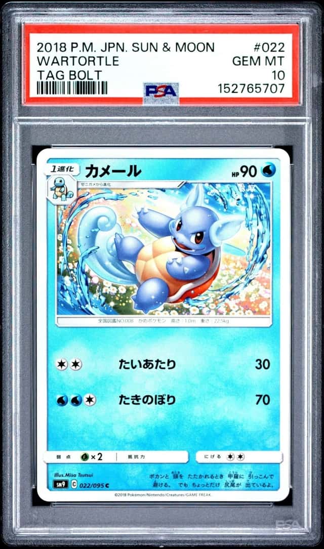 Wartortle