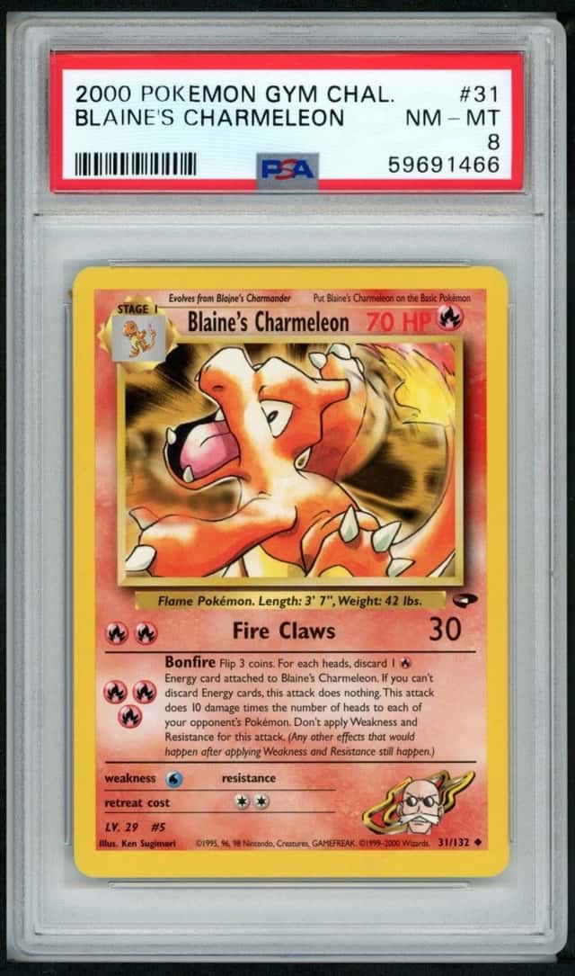 Blaine's Charmeleon