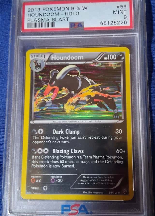 Houndoom