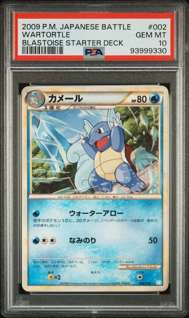 Wartortle