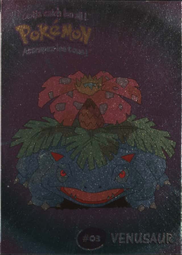 Base / no variant