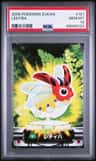 Ledyba