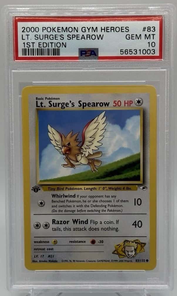 Lt. Surge's Spearow