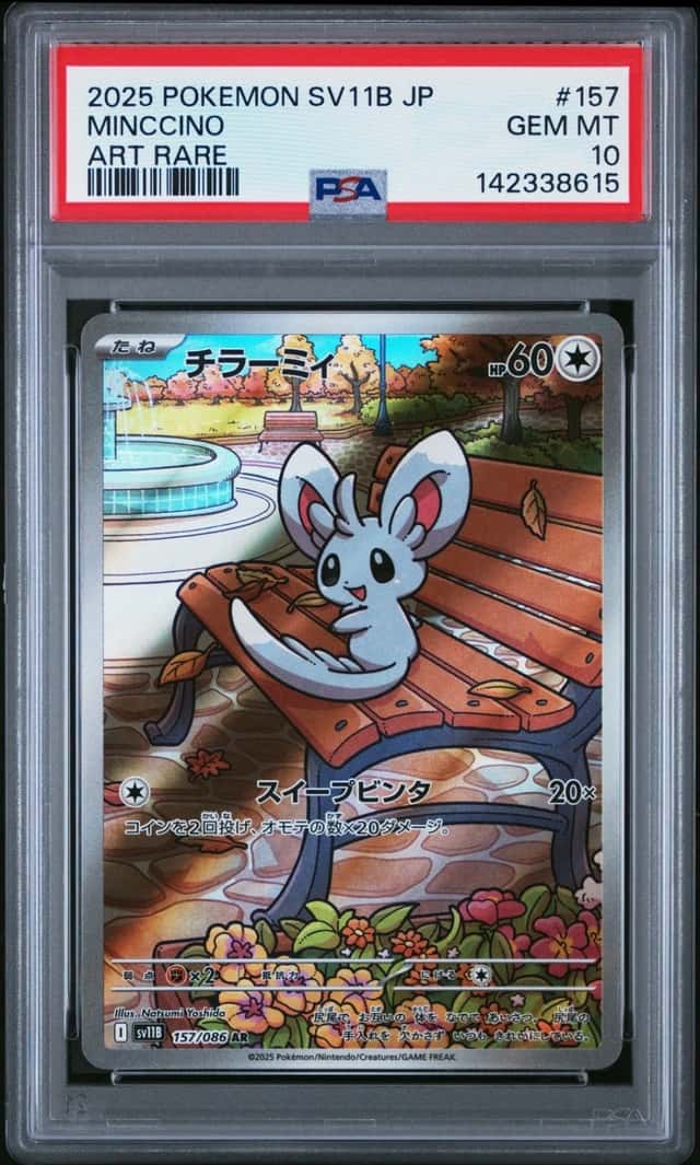 Minccino