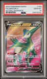 Virizion V