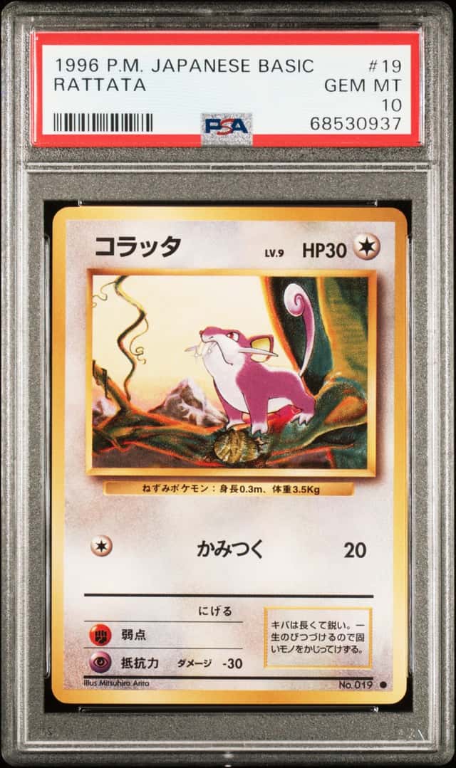 Rattata