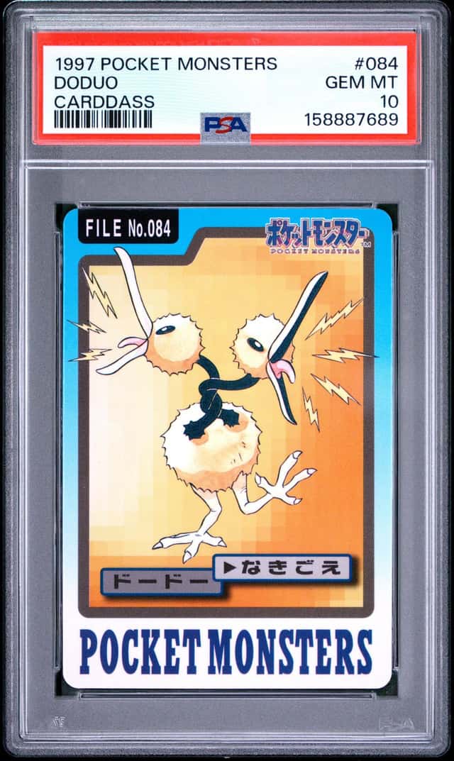 Doduo