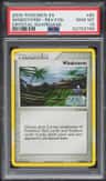 Windstorm-Rev.foil