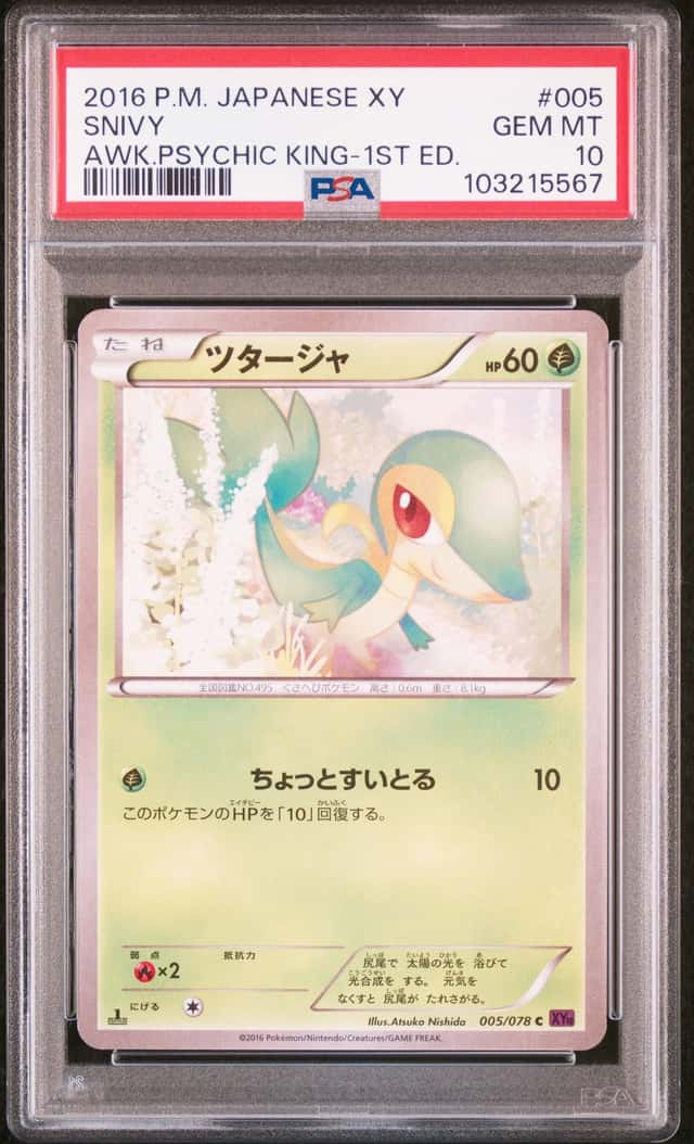 Snivy