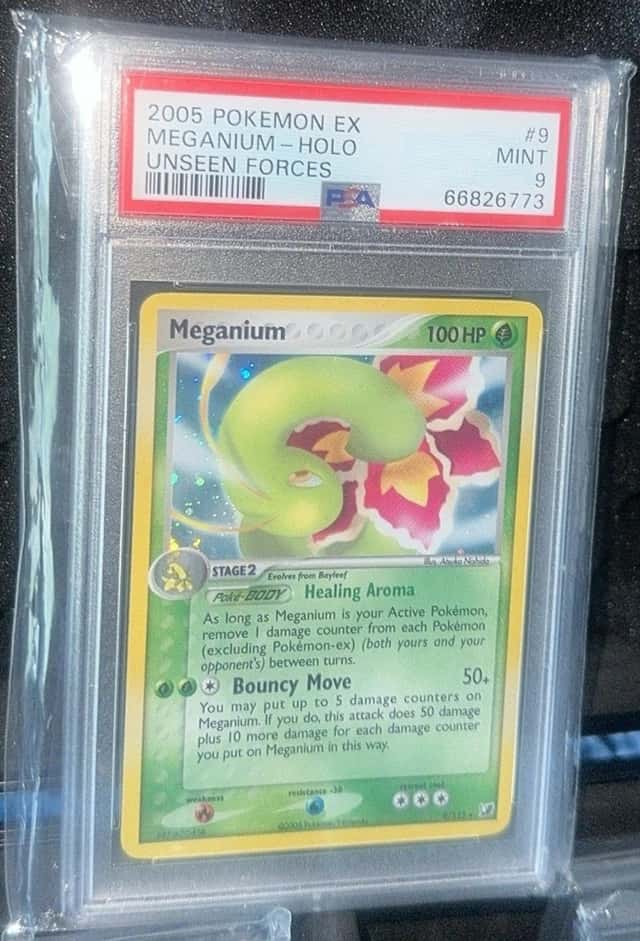 Meganium