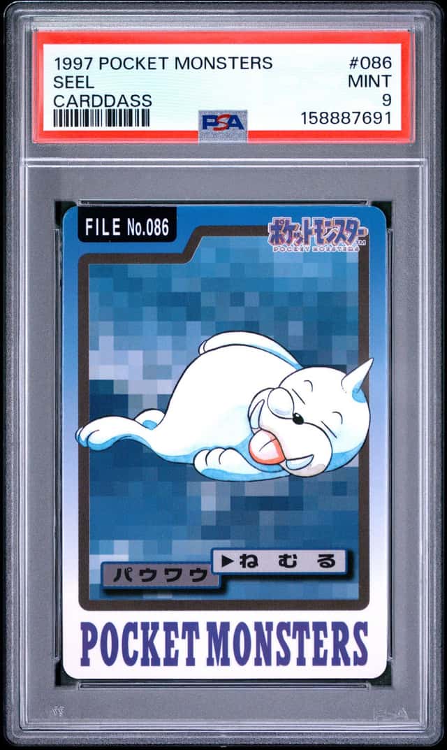 Seel