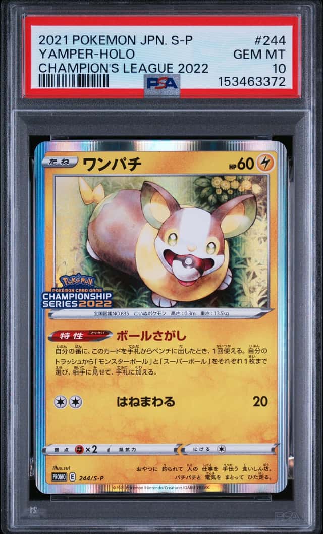 Yamper