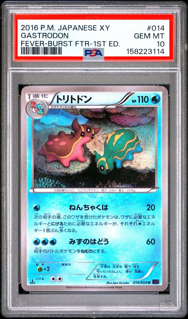 Gastrodon