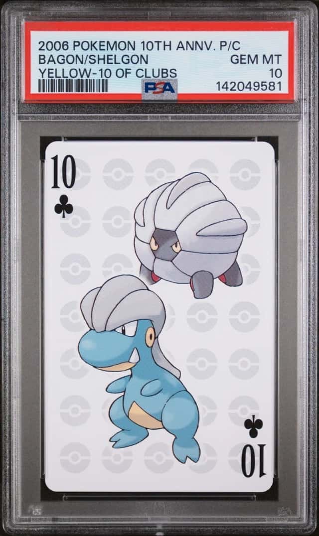 Bagon/Shelgon