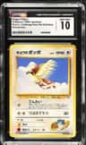 Koga'S Pidgey
