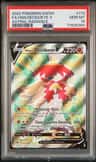 Fa/hsn.decidueye V