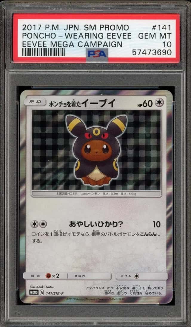 Poncho-Wearing Eevee