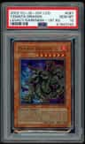 Yamata Dragon