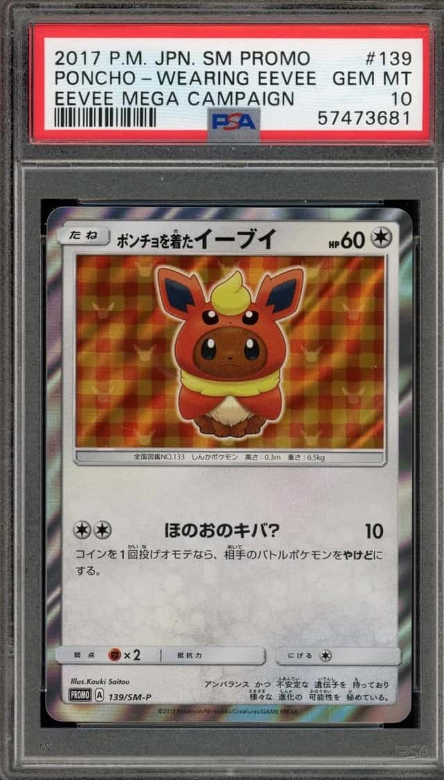 Poncho-Wearing Eevee