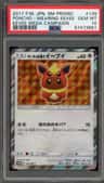 Poncho-Wearing Eevee
