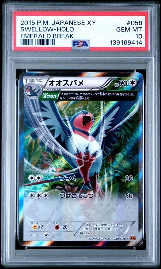 Swellow