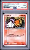 Torchic