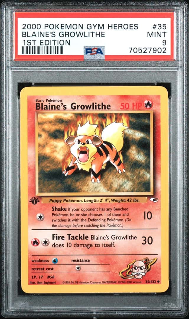 Blaine's Growlithe