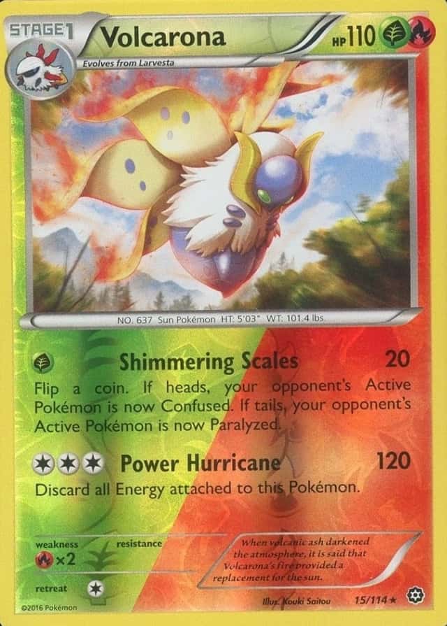 Reverse Holo