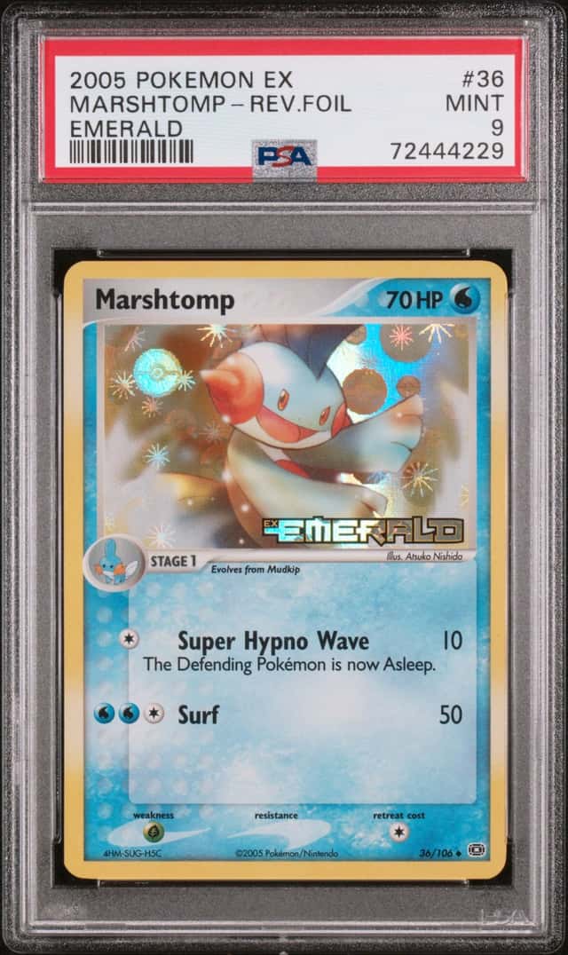 Marshtomp