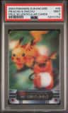 Pikachu & Raichu