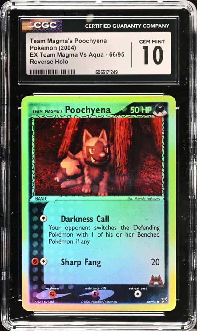 Magma's Poochyena