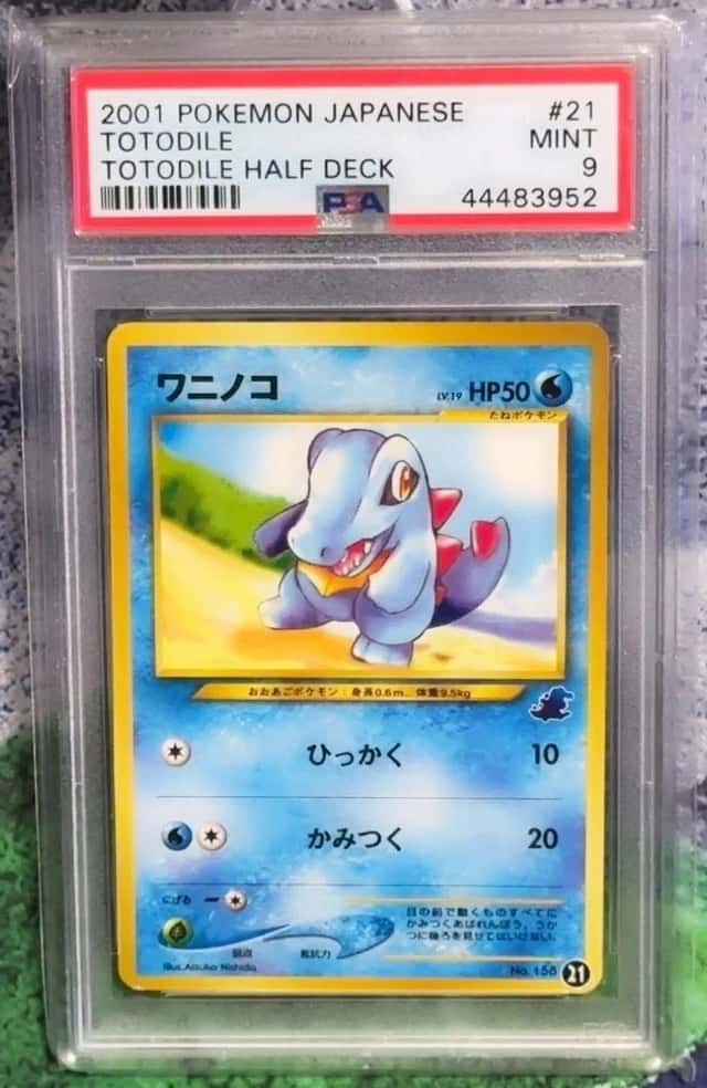 Totodile