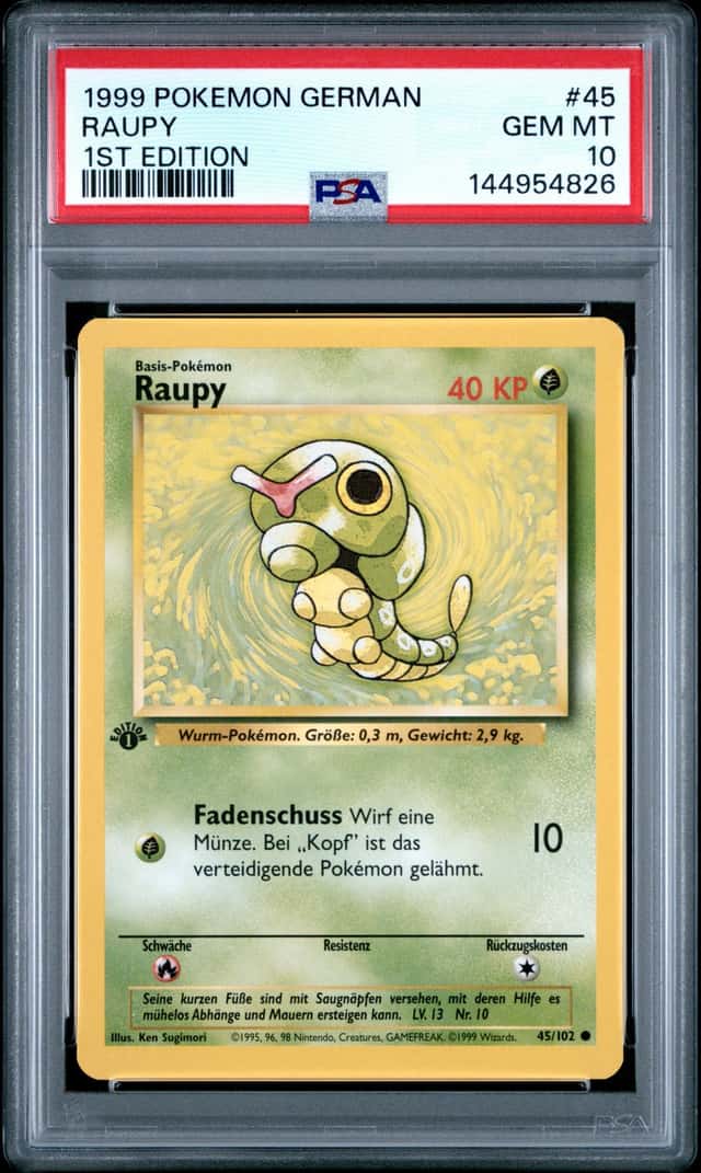 Raupy