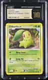 Chikorita