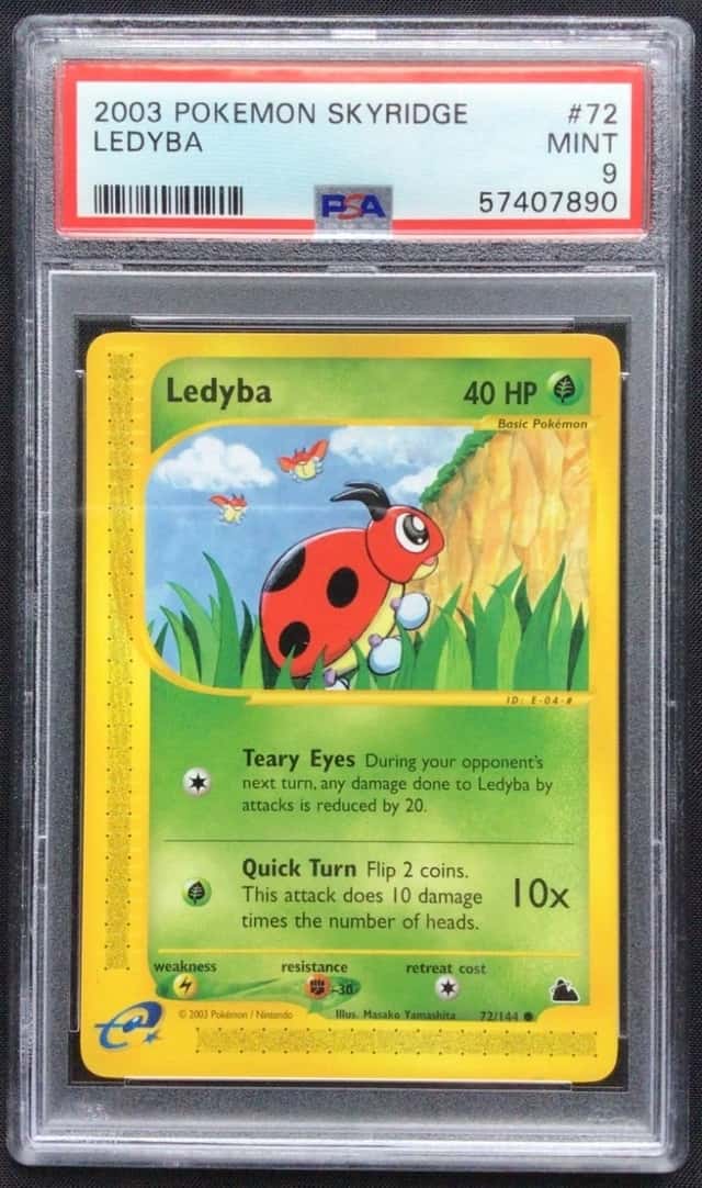 Ledyba