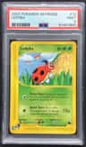Ledyba