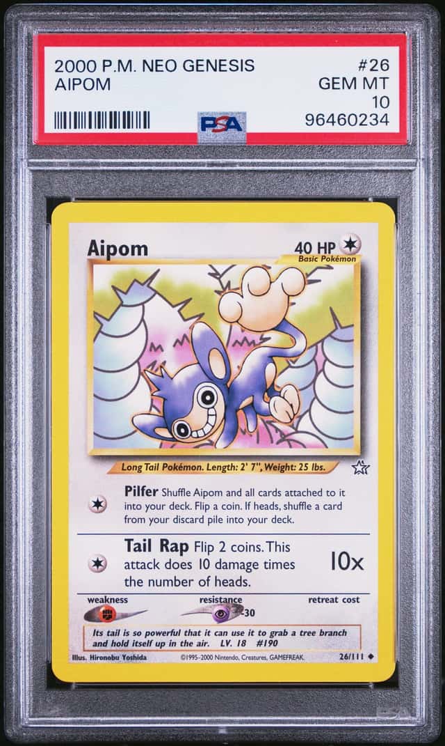 Aipom