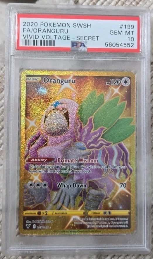 Oranguru