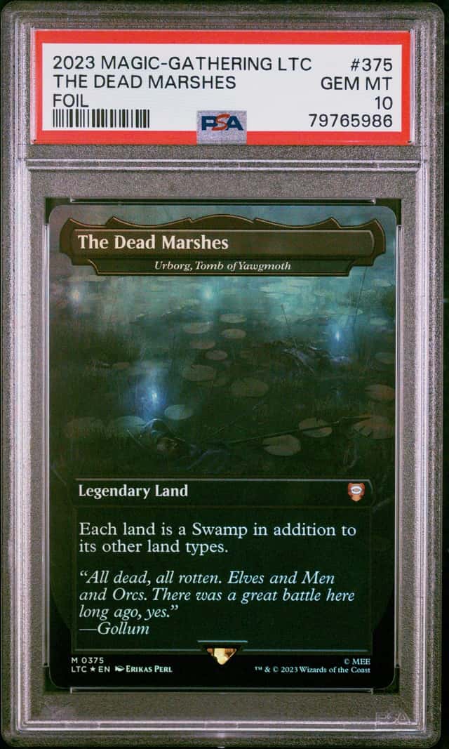 The Dead Marshes