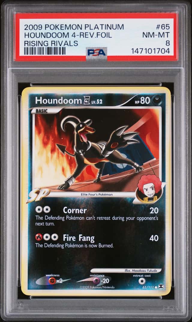 Houndoom 4