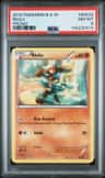 Riolu