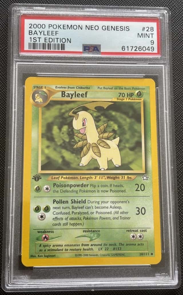 Bayleef