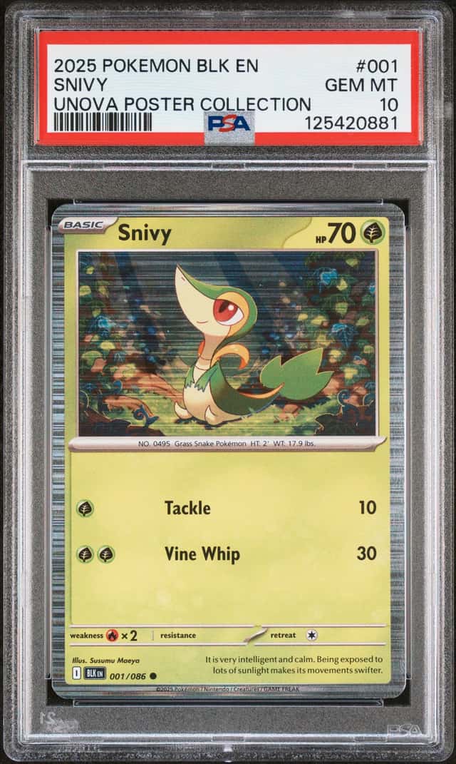 Snivy