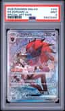 N'S Zoroark Ex