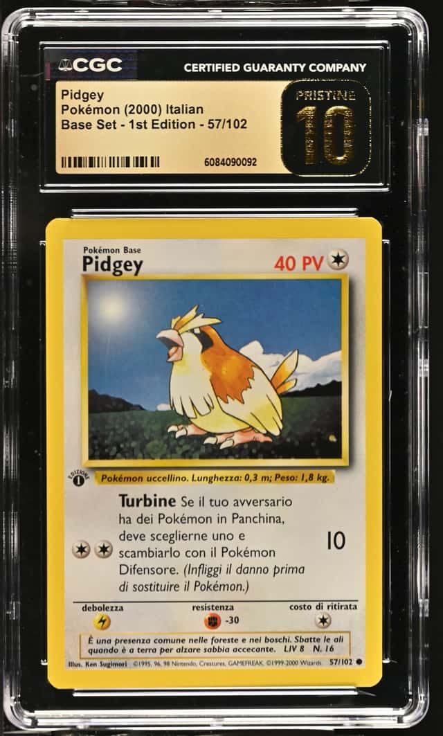 Pidgey
