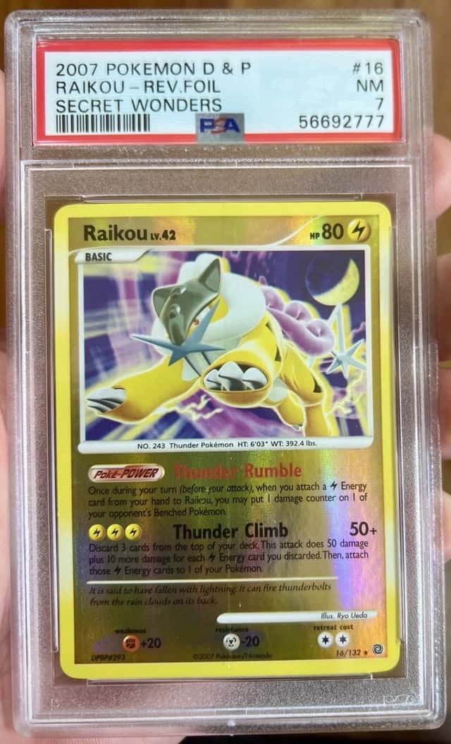 Raikou