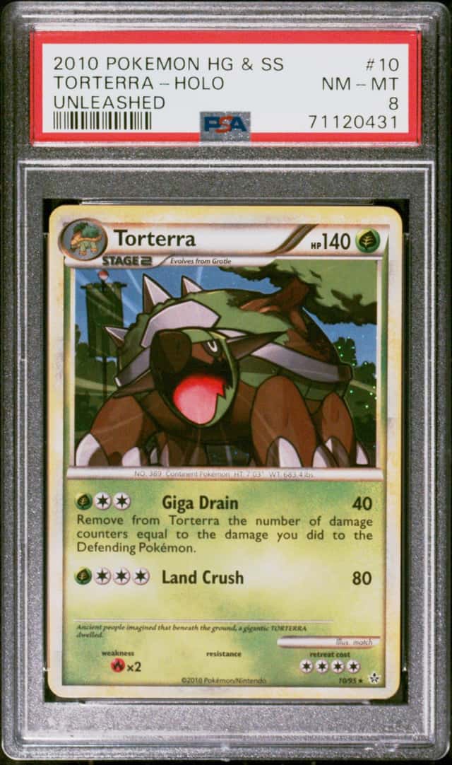 Torterra