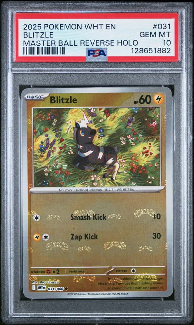 Blitzle